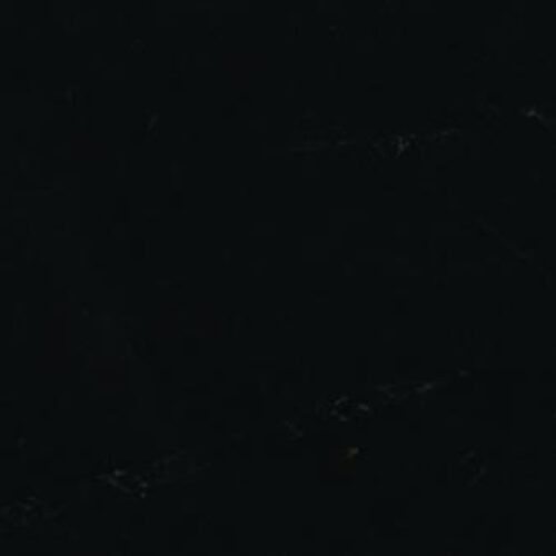 FER-115568_2883223.jpeg 2955401