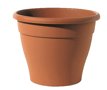 2008408