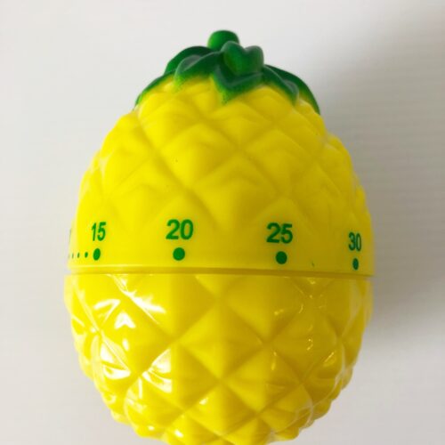 -_ANANAS_IMG_0820.jpeg 3136469