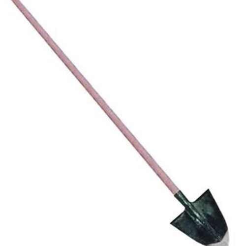 1521576