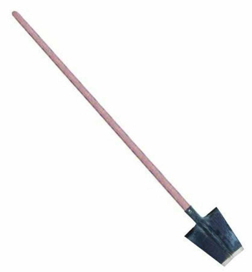 14809__1597402608103.jpeg 1536817