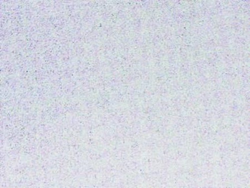 FER-115537_s-l1600.jpeg 2867452