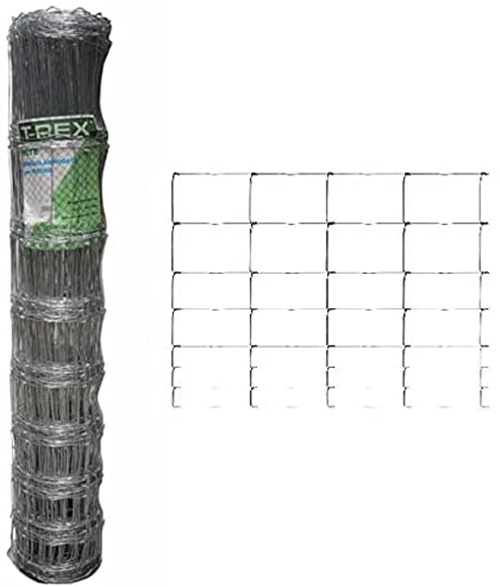 FER-161237_2941598.jpeg 2952924