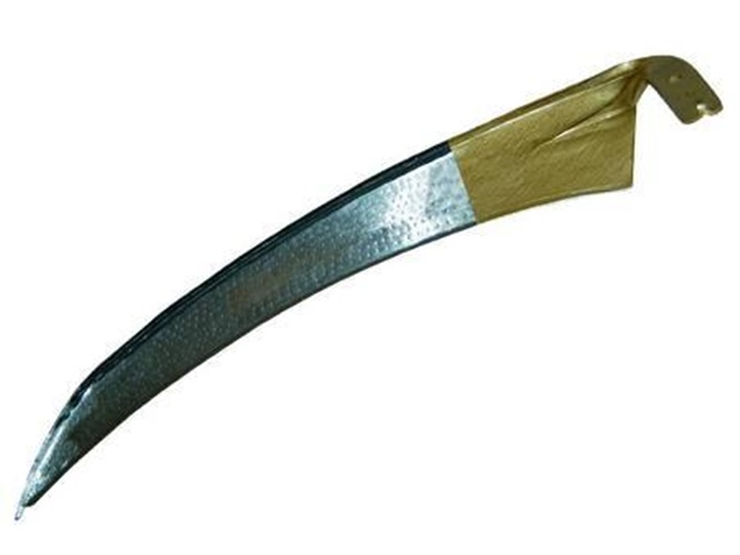 2954084