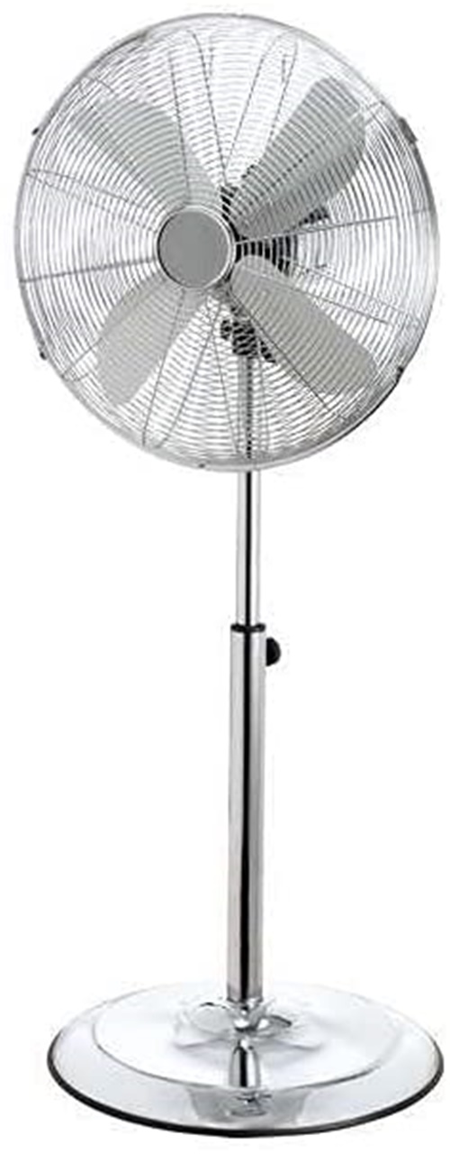 FER-317160_27.jpeg 3150180